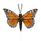 2.5" Multicolour Feather Butterflies, 10ct. Ashland®